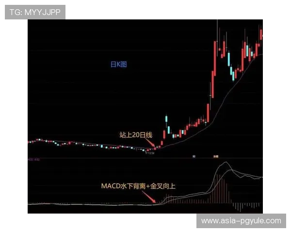新手指南：如何在ag捕鱼官网全站登录中轻松成为捕鱼高手，快速盈利的方法解析