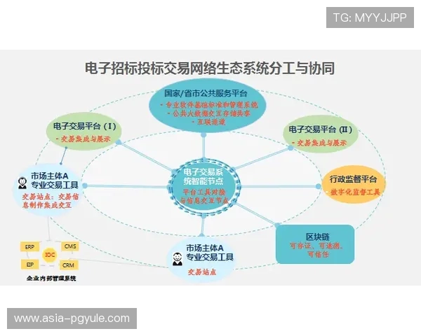 ag亚游国际市场的技术创新与产品优化路径探索