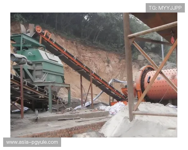 ca88亚洲城客服推出多渠道多平台支持满足不同用户的多样化需求