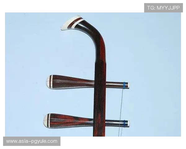 凯发网娱乐会员登录步骤详细介绍新手快速上手指南